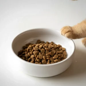 Croquettes Pour Chats